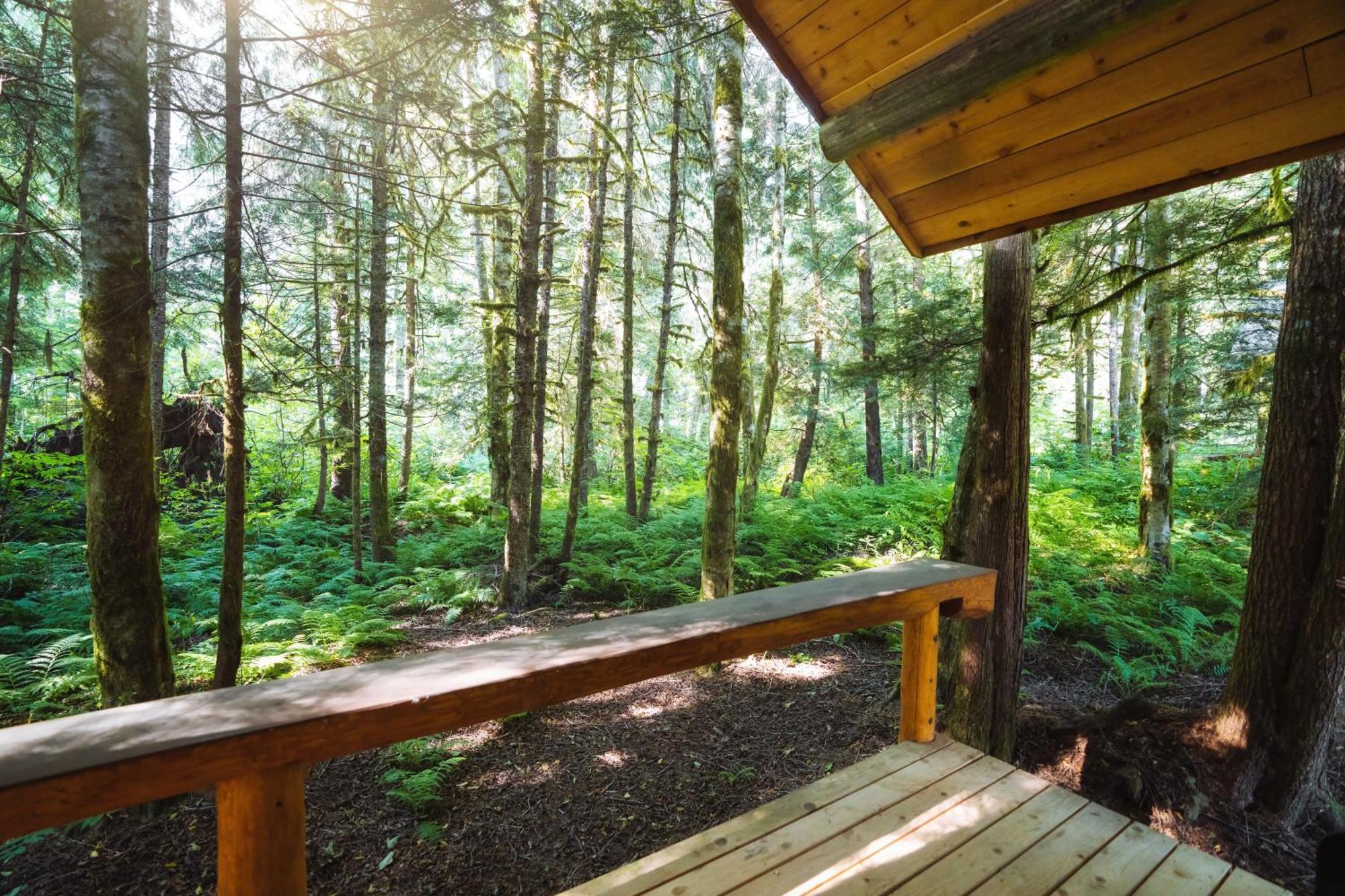 Bella Coola Grizzly Tours And Resort Hagensborg Bagian luar foto