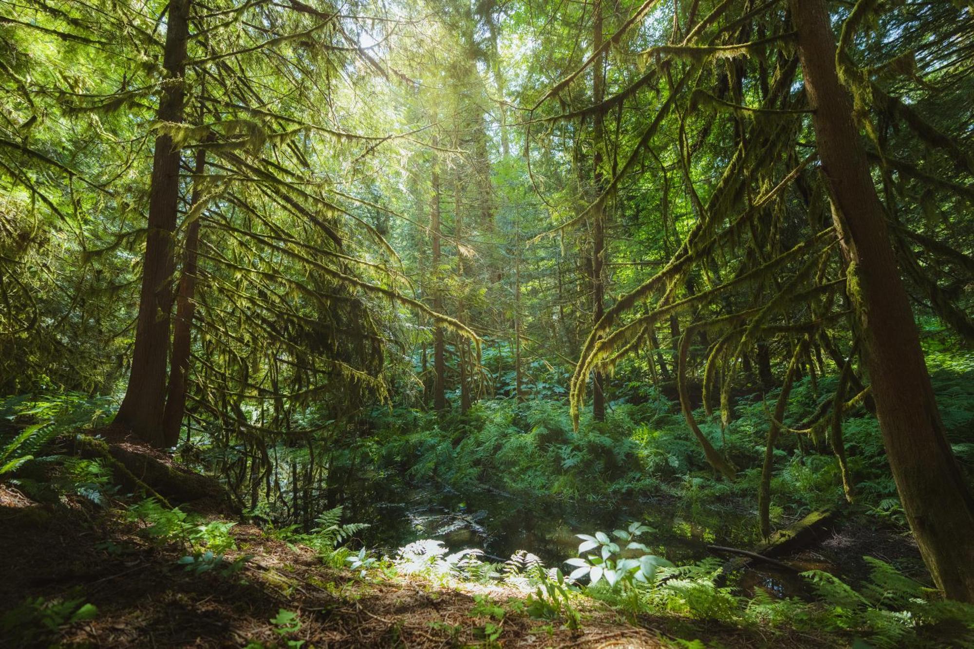 Bella Coola Grizzly Tours And Resort Hagensborg Bagian luar foto