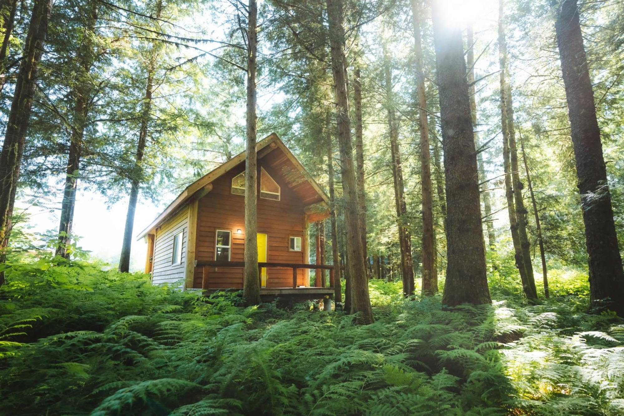 Bella Coola Grizzly Tours And Resort Hagensborg Bagian luar foto
