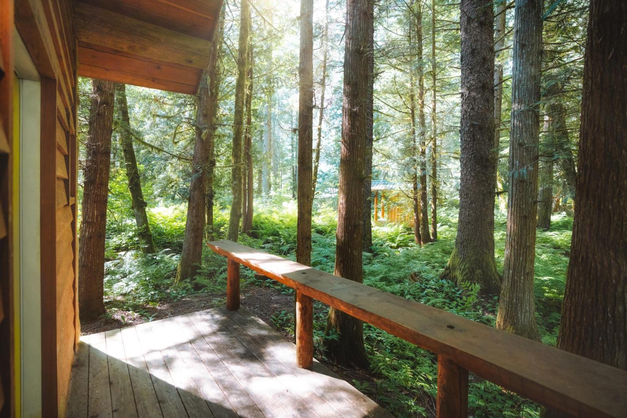 Bella Coola Grizzly Tours And Resort Hagensborg Bagian luar foto