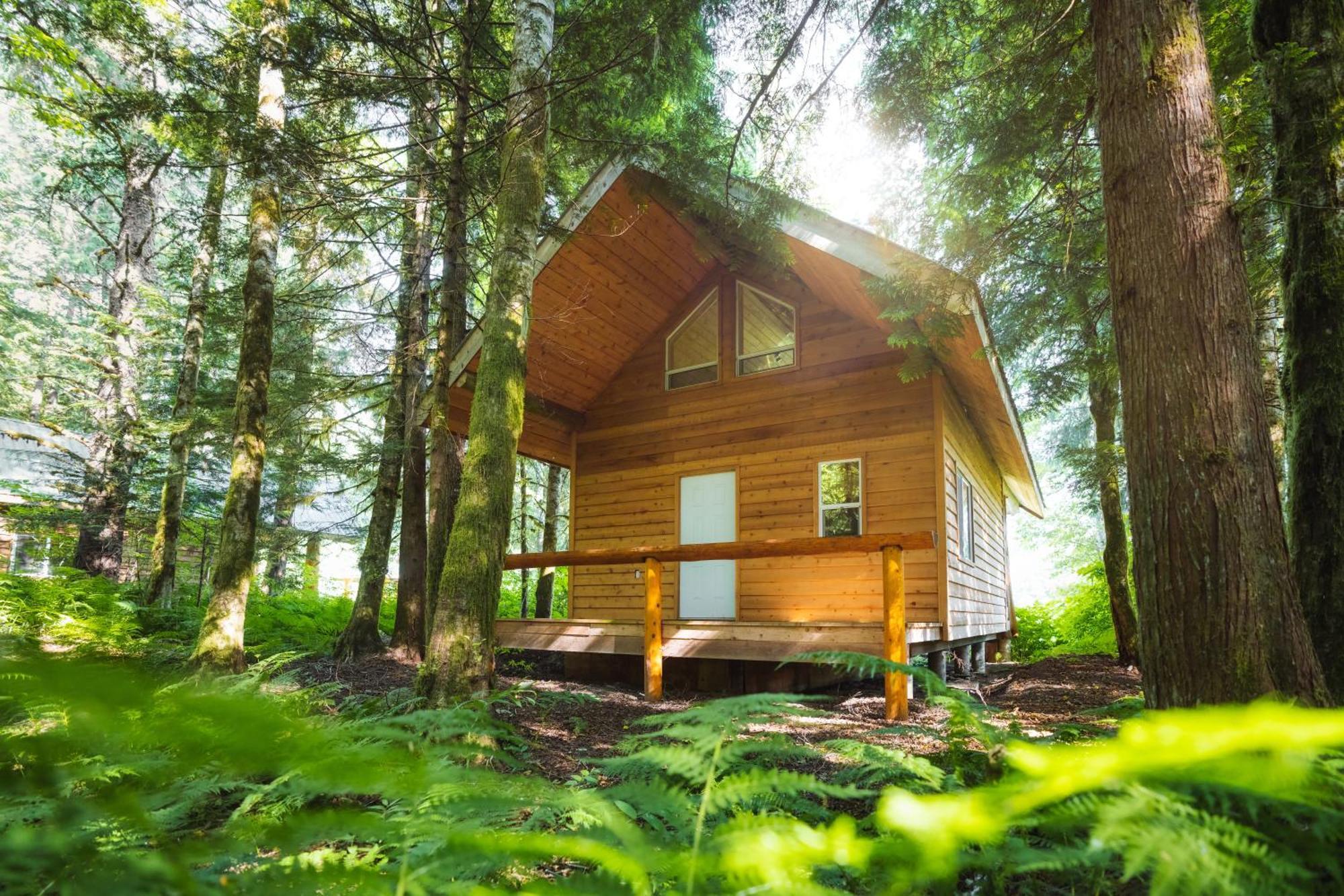 Bella Coola Grizzly Tours And Resort Hagensborg Bagian luar foto